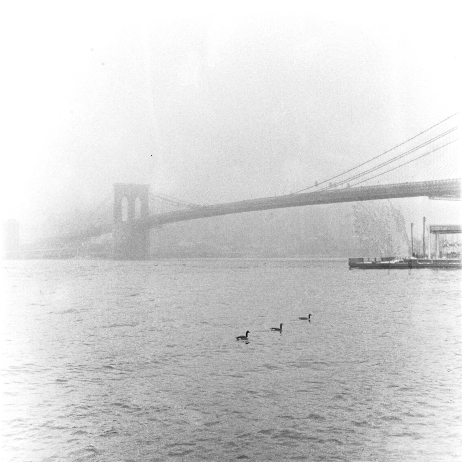 Día de niebla en Nueva York